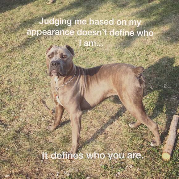 Meet your Posher, Jordan - Picture 1 of 1